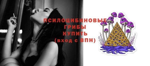 первитин Осинники