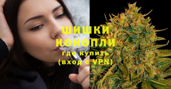 первитин Осинники