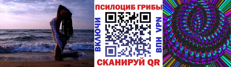 Псилоцибиновые грибы Cubensis наркошоп OMG онион Белогорск