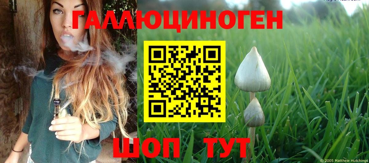Галлюциногенные грибы прущие грибы  Псилоцибиновые грибы мухоморы  Белогорск  Вход с VPN 